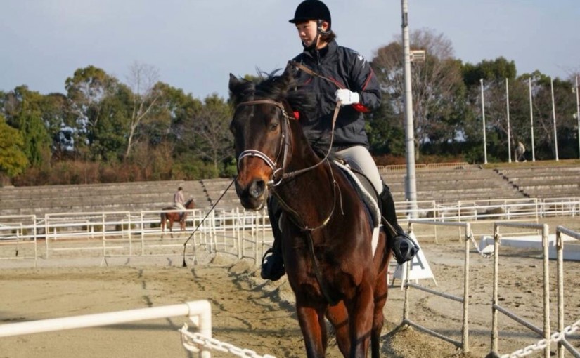 ビジターレッスンにて駈歩のレッスンを行いました(兵庫県尼崎市/T様)