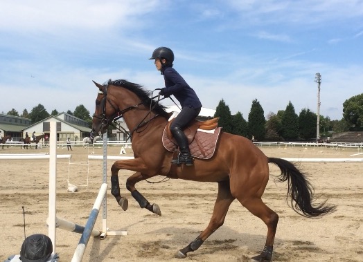 障害飛越レッスンを行いました(大阪府大阪市/H様)
