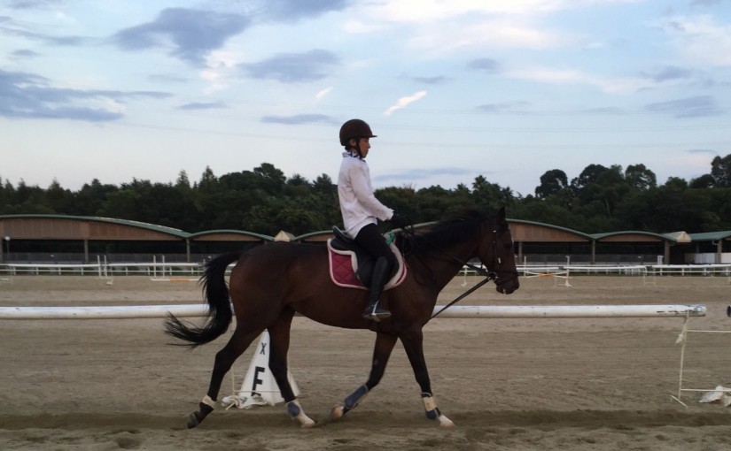 馬場エキスパートのレッスンでマンツーマンを行いました(大阪府大阪市/T様)