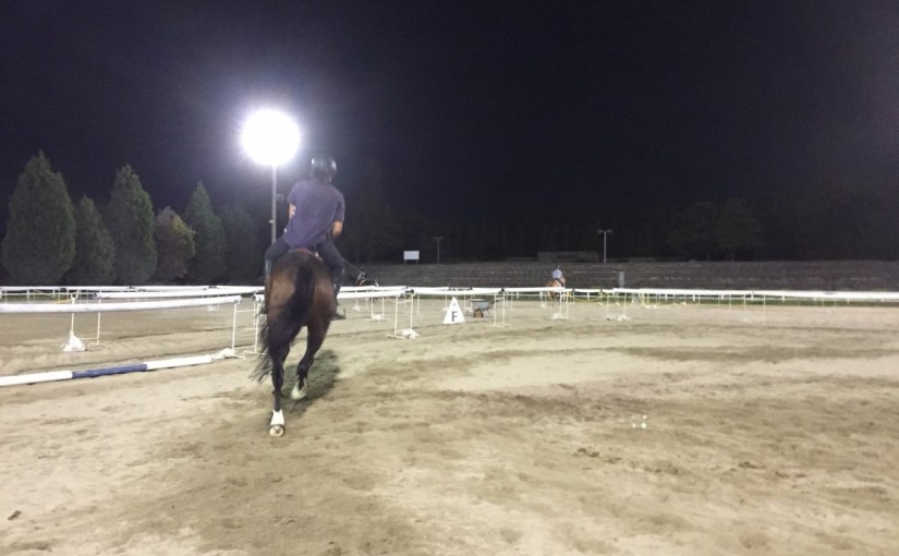 中級ドレッサージュレッスンを行いました(大阪府東大阪市/T様)