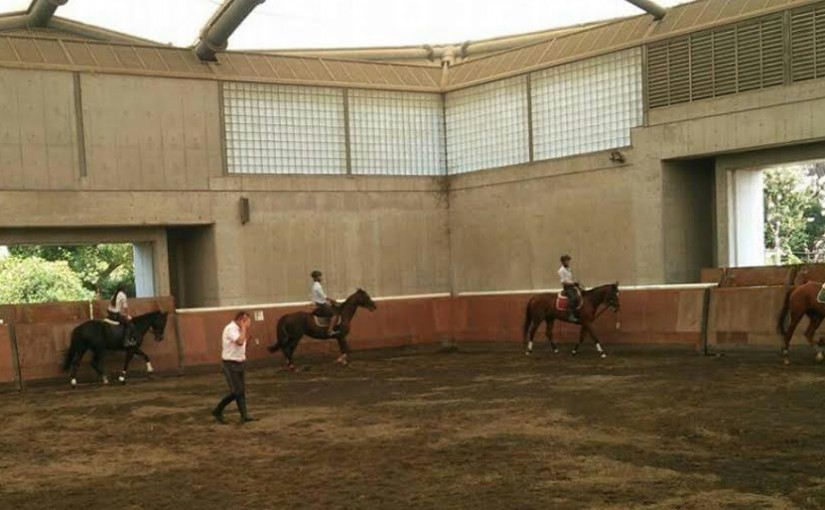 杉本氏クリニックを実施致しました