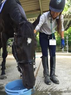 中級ドレッサージュで横運動を行いました（大阪府大阪市/M様）