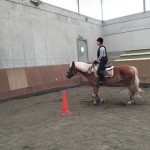 エンジョイ8回コースのレッスンを行いました(大阪府大阪市/Ａ様)