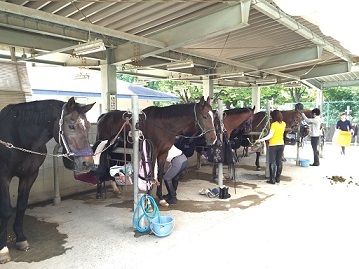 エンジョイ８回コースのレッスンを行いました。（大阪府大阪市/Ｋ様）