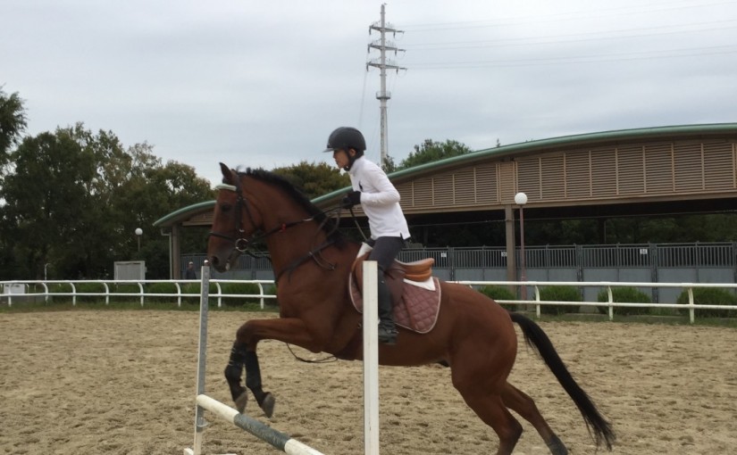 障害飛越レッスンを行いました(大阪府大阪市/H様)
