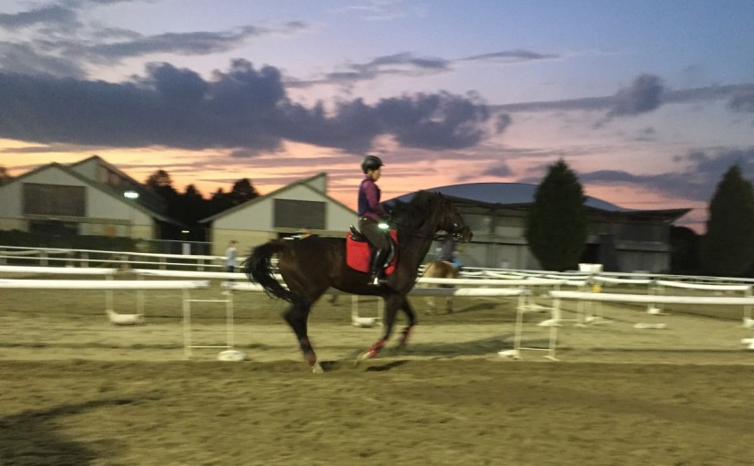 エキスパートチームのレッスンで経路を練習しました(大阪府大阪市/T様)