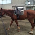 初心者4回コースのレッスンで軽速歩の練習を行いました(大阪府茨木市/S様)