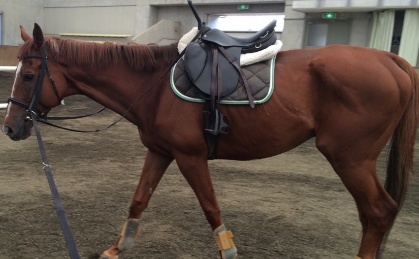 初心者4回コースのレッスンで軽速歩の練習を行いました(大阪府茨木市/S様)