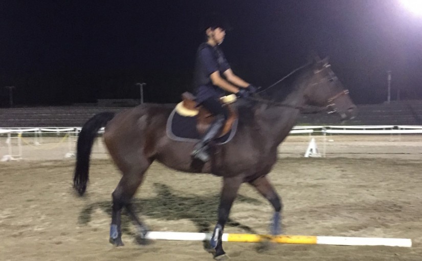 中級ドレッサージュのレッスンで三湾曲の練習を行いました(大阪府守口市/M様)