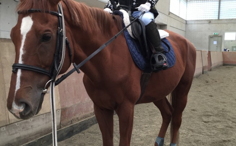 ビギナーレッスン行いました（大阪府大阪市/Ａ様）