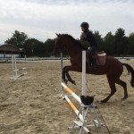 マンツーマンで障害飛越の練習を行いました(大阪府大阪市/H様)