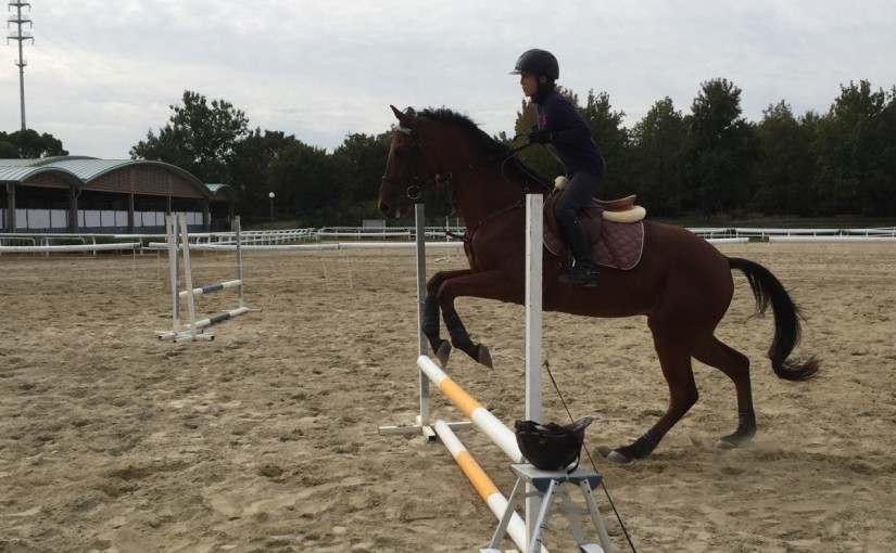マンツーマンで障害飛越の練習を行いました(大阪府大阪市/H様)