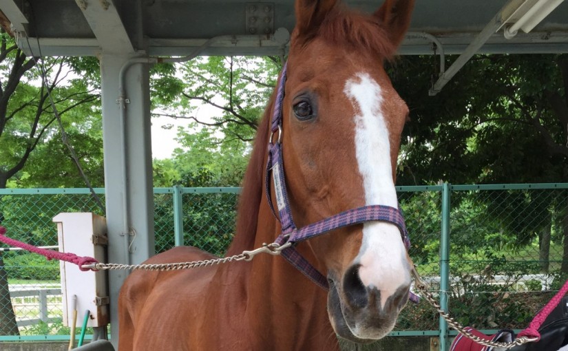 ビジターレッスンを行いました(大阪府大阪市/B様)