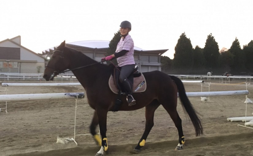 経路練習を行いました(大阪府大阪市/O様)