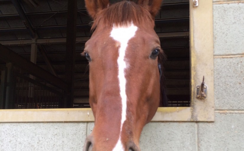 初心者4回コースの3回目レッスンを行いました(大阪府大阪市/K様)