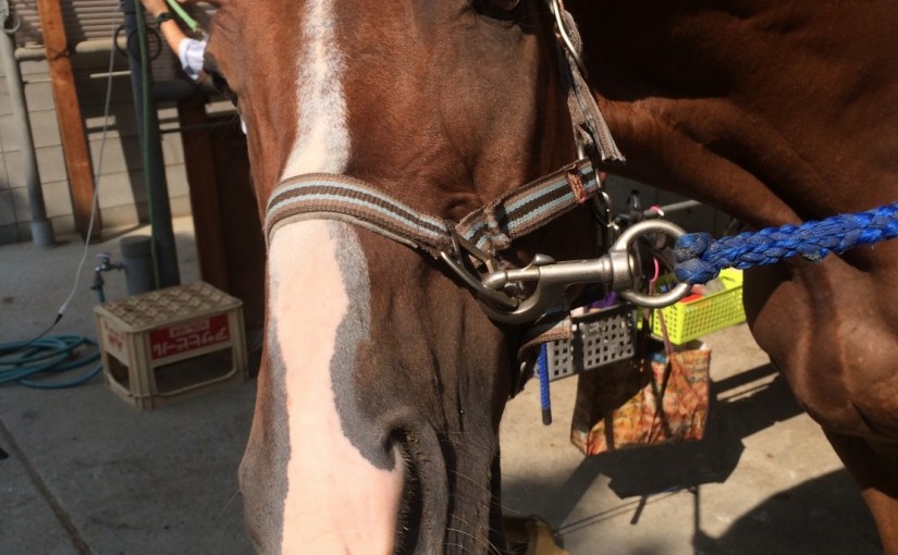 初心者4回コースのレッスンを行いました(兵庫県尼崎市/N様)