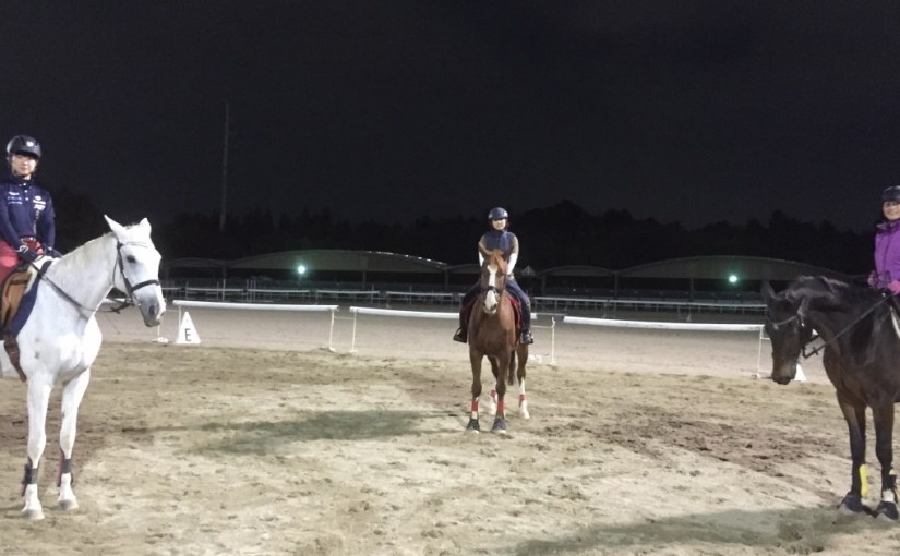 中級ドレッサージュのレッスンを行いました(大阪府大阪市/S様)