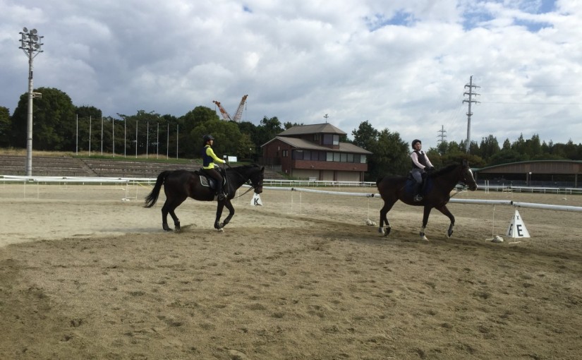 馬場エキスパートレッスンを行いました(大阪府枚方市/S様)