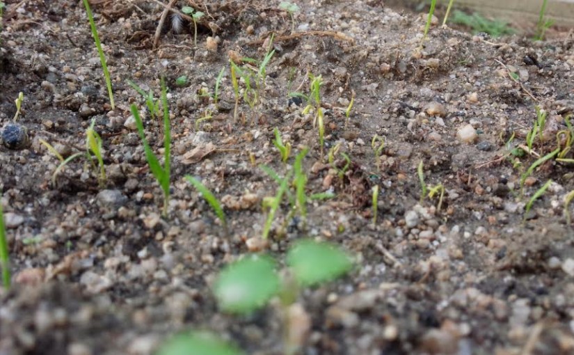 経路練習のレッスンを行いました（大阪府/N様）