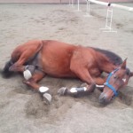 ミドルクラスAのレッスンを行いました