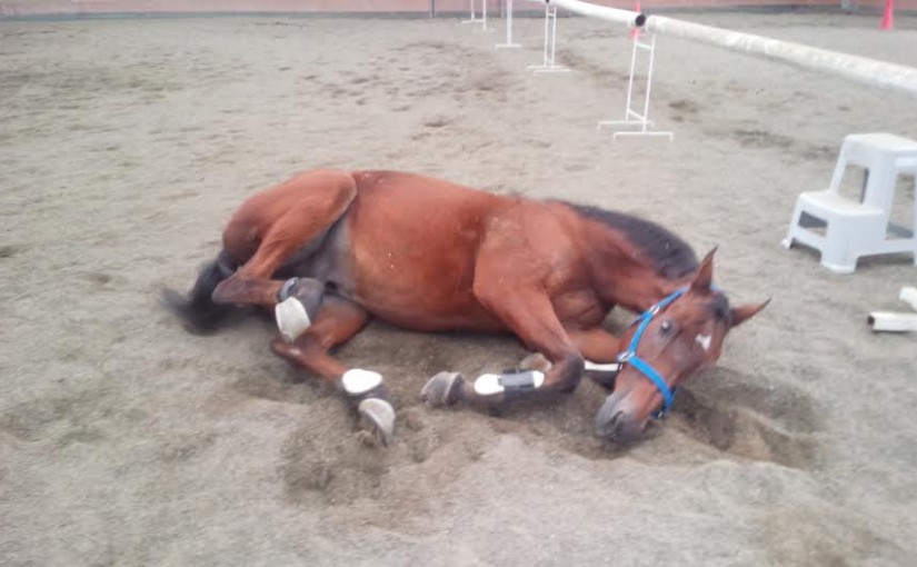 ミドルクラスAのレッスンを行いました