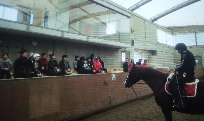 鞭・拍車講習会を実施いたしました！