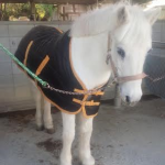 ミドルクラスAのレッスンを行いました(大阪府大阪市/K様)