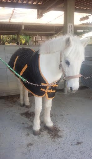 ミドルクラスAのレッスンを行いました（大阪府大阪市/K様）