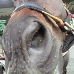 ミドルクラスAのレッスンを行いました（大阪府大阪市/K様）