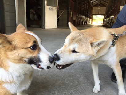 ファーストレッスンを行いました(大阪府大阪市/Ｈ様)