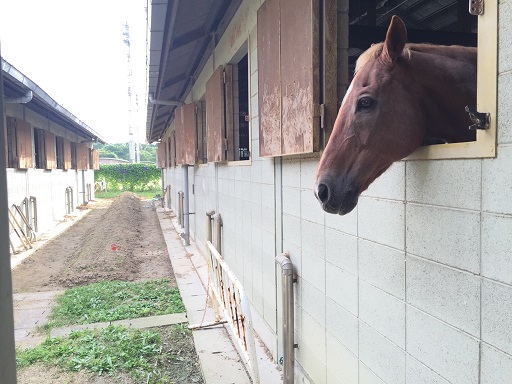 エンジョイコースのレッスンを行いました(大阪府豊中市/Ｍ様)