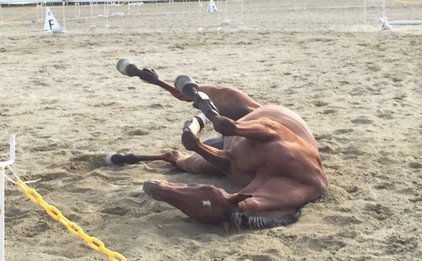 エンジョイコースのレッスンを行いました(大阪府堺市/I様)