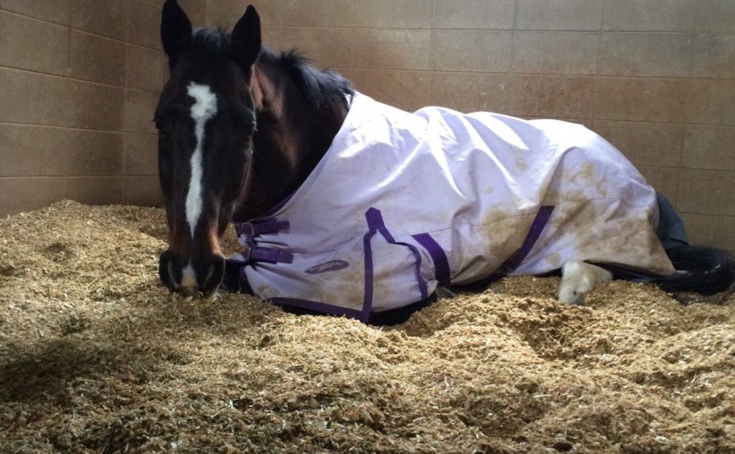 エンジョイコースのレッスンを行ないました（大阪府大阪市/Ｍ様）