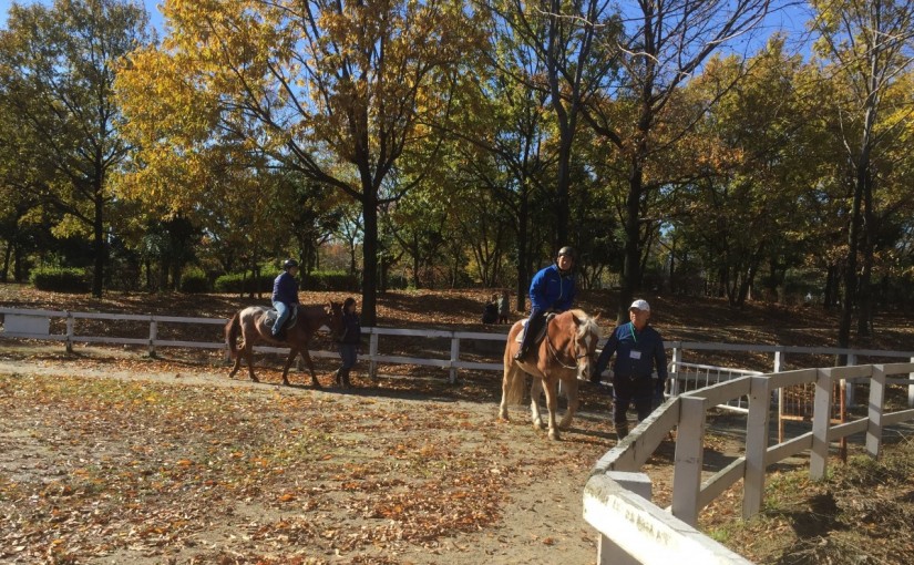 車両整備を行いました(大阪府守口市/鶴見緑地乗馬苑)