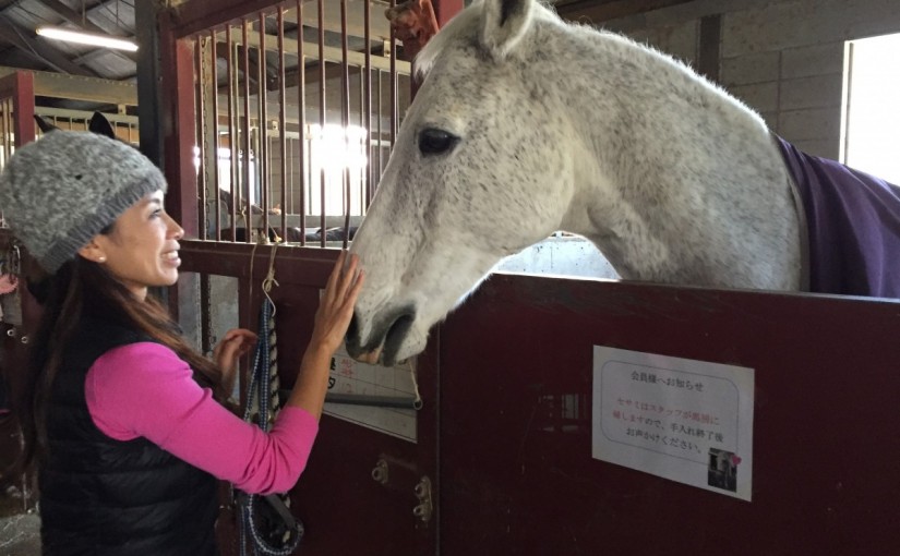 体験乗馬と初心者コースのレッスンを行いました（大阪府大阪市/Ａ様）