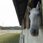 初心者4回コースのレッスンを行いました(大阪府大阪市/S様)