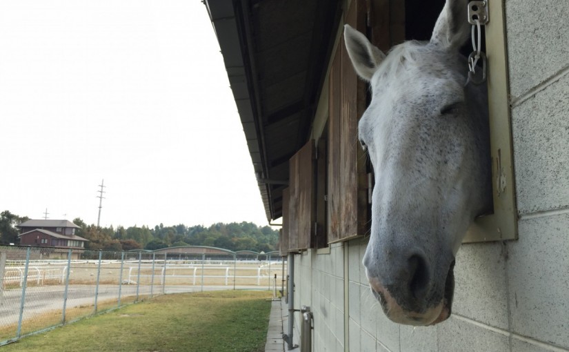 初心者4回コースのレッスンを行いました(大阪府大阪市/S様)