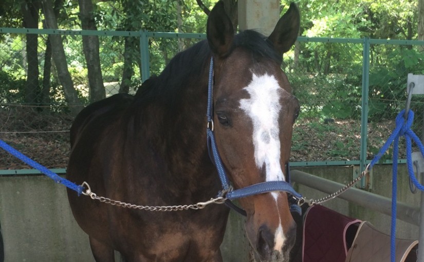 エンジョイ8回コースのレッスンを行いました(大阪府大阪市/S様)