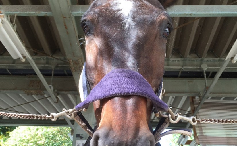 初心者4回コースのレッスンを行いました(奈良県生駒市/J様)