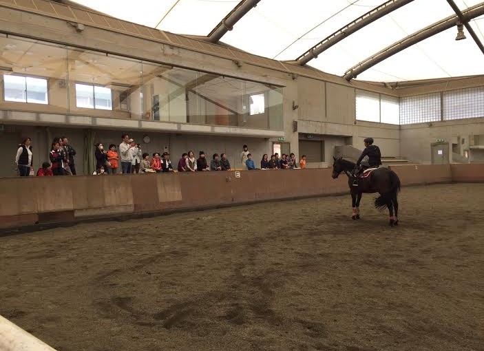 中級ドレッサージュのレッスンを行いました（大阪府大阪市/A様）