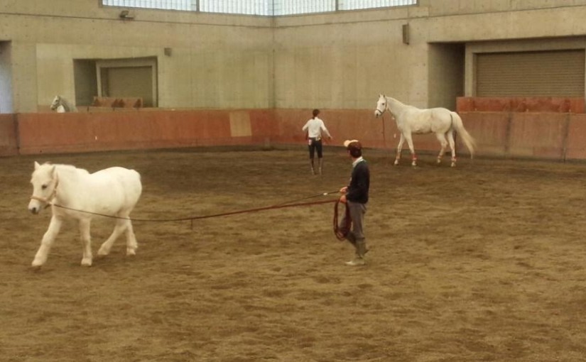 ビギナークラスのレッスンを行いました（大阪府大阪市/H様）