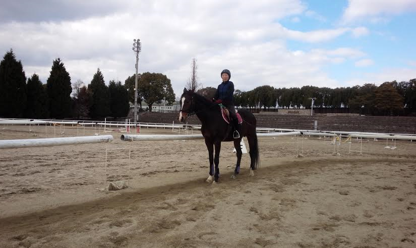 乗馬クラブで駈歩をしました（大阪府大阪市/Ｔ様）
