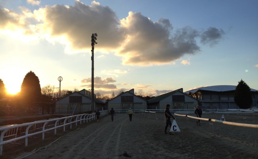 乗馬クラブでＨＰの更新を行いました