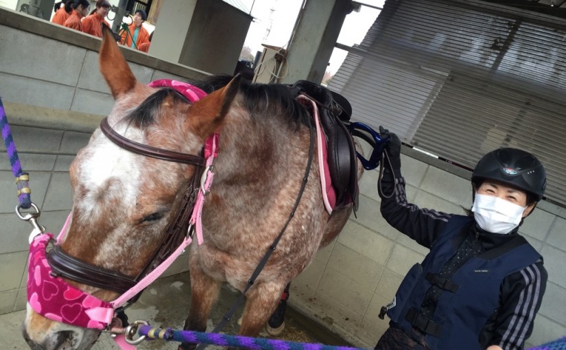 乗馬クラブで体験乗馬のレッスンをしました（大阪府大阪市/Ｆ様）