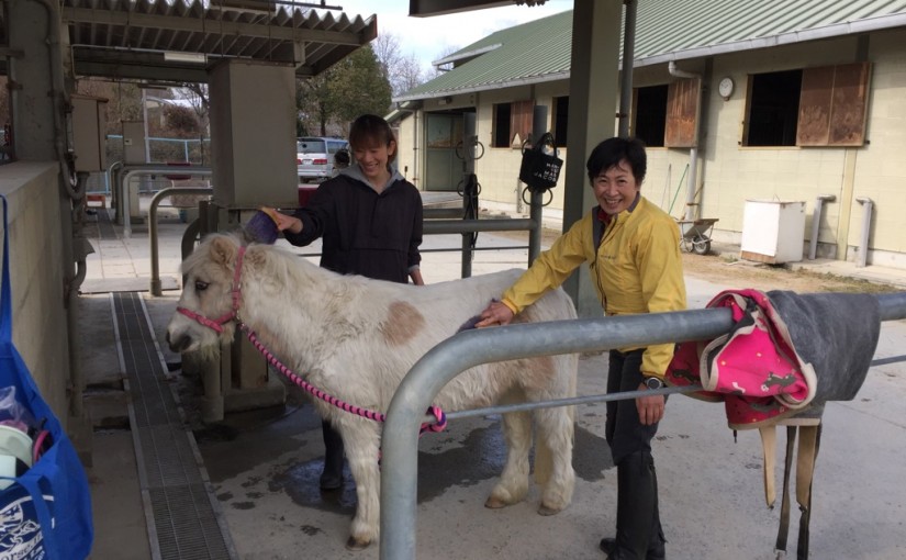 乗馬クラブでエンジョイコースのレッスンを行いました（大阪府吹田市/Ｍ様）
