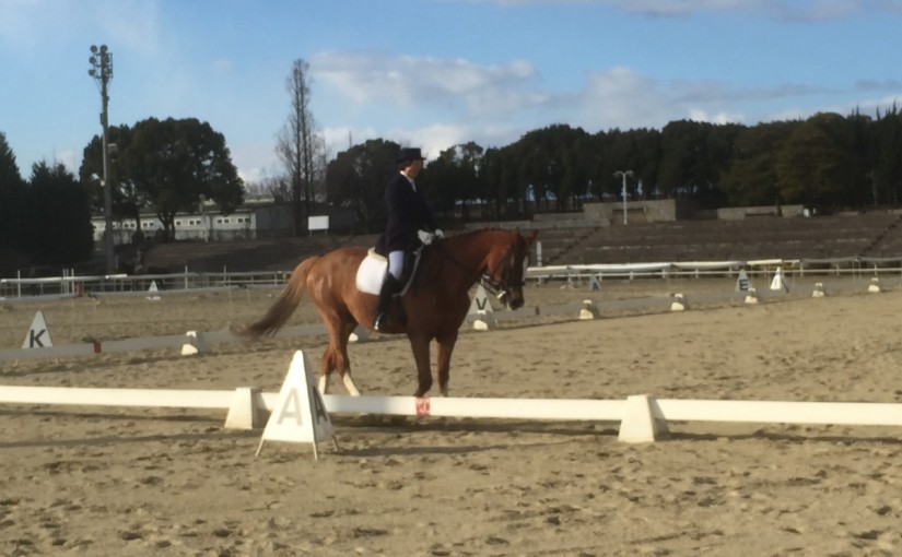 乗馬クラブで部内競技会を開催しました(大阪府守口市/鶴見緑地乗馬苑)