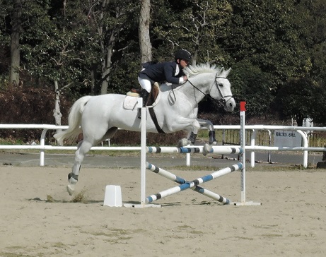 乗馬クラブでイベント企画を行いました(大阪府守口市/鶴見緑地乗馬苑)