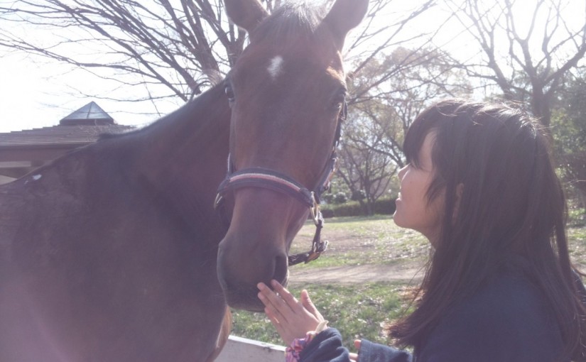 乗馬クラブで馬匹の放牧を行いました（大阪府/鶴見緑地乗馬苑）