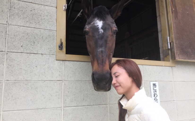 乗馬クラブでエンジョイコースのレッスンを行いました（大阪府大阪市/Ｉ様）