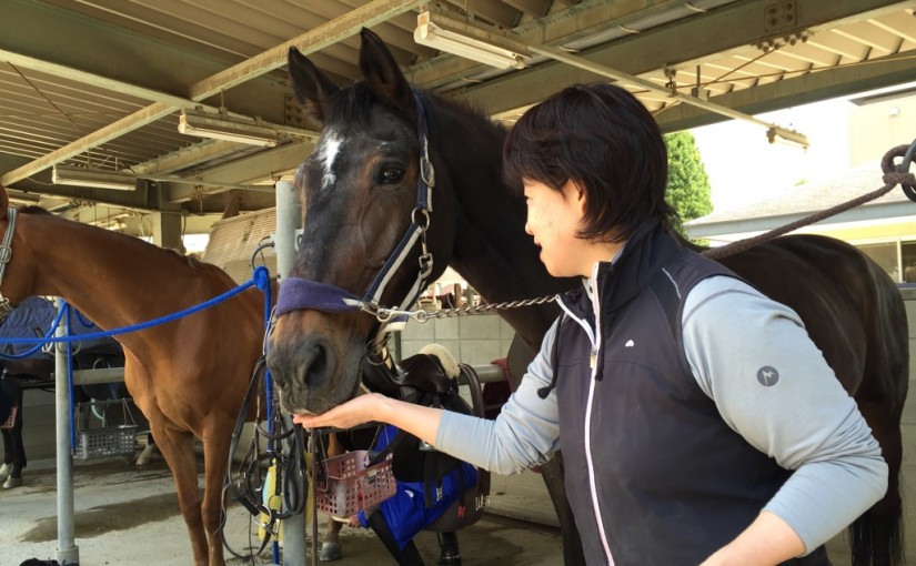 乗馬クラブでエンジョイコースのレッスンを行いました（大阪府大阪市/Ｙ様）